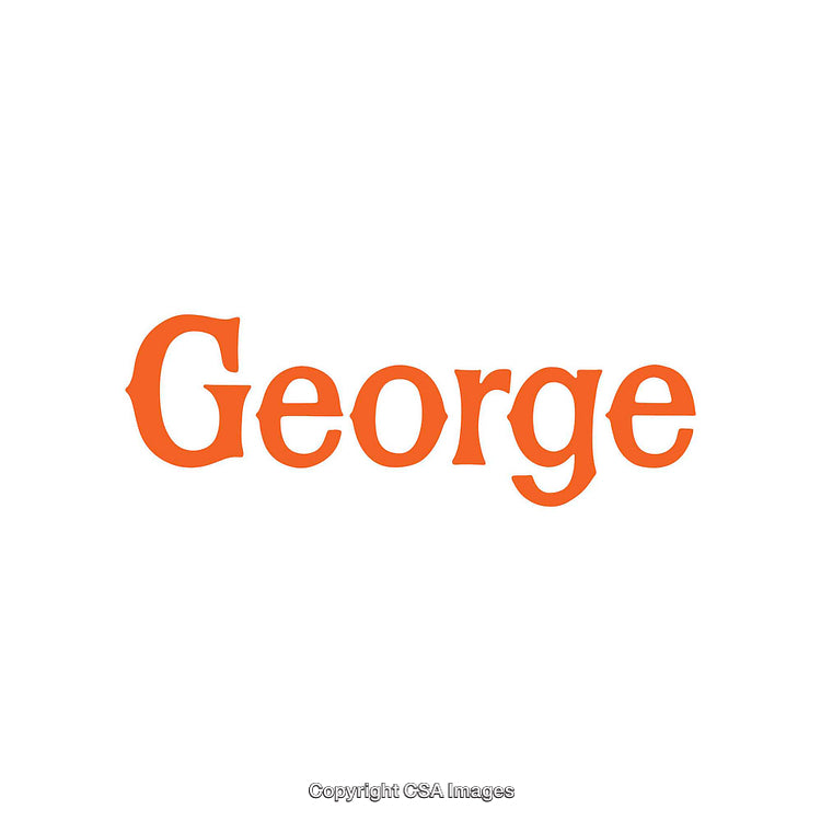 Bright Orange Text Logo Isolated on a Minimalistic White Background