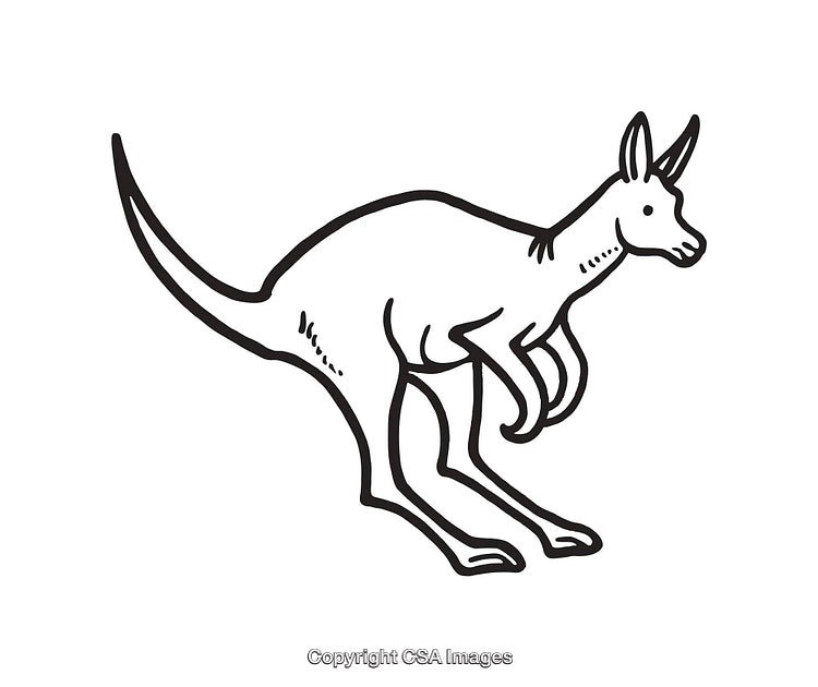 Black and White Line Art of Kangaroo Illustration in Minimalist Style