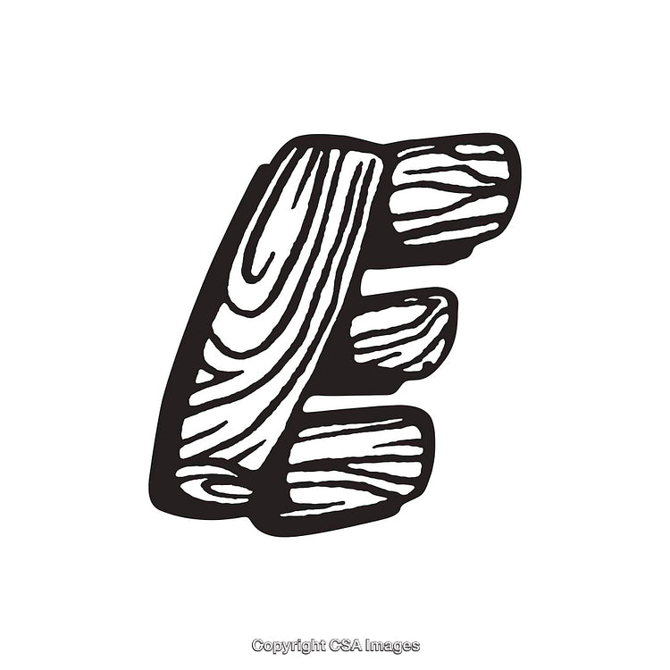 Monochrome Decorative Letter E with Wooden Texture and Artistic Design