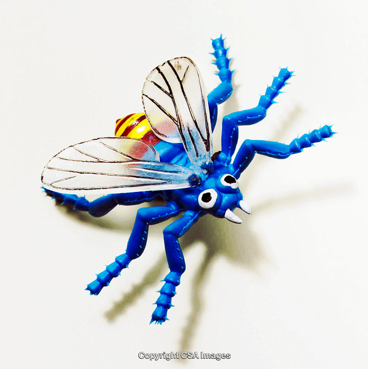 Colorful Plastic Toy Insect With Detailed Features on White Background