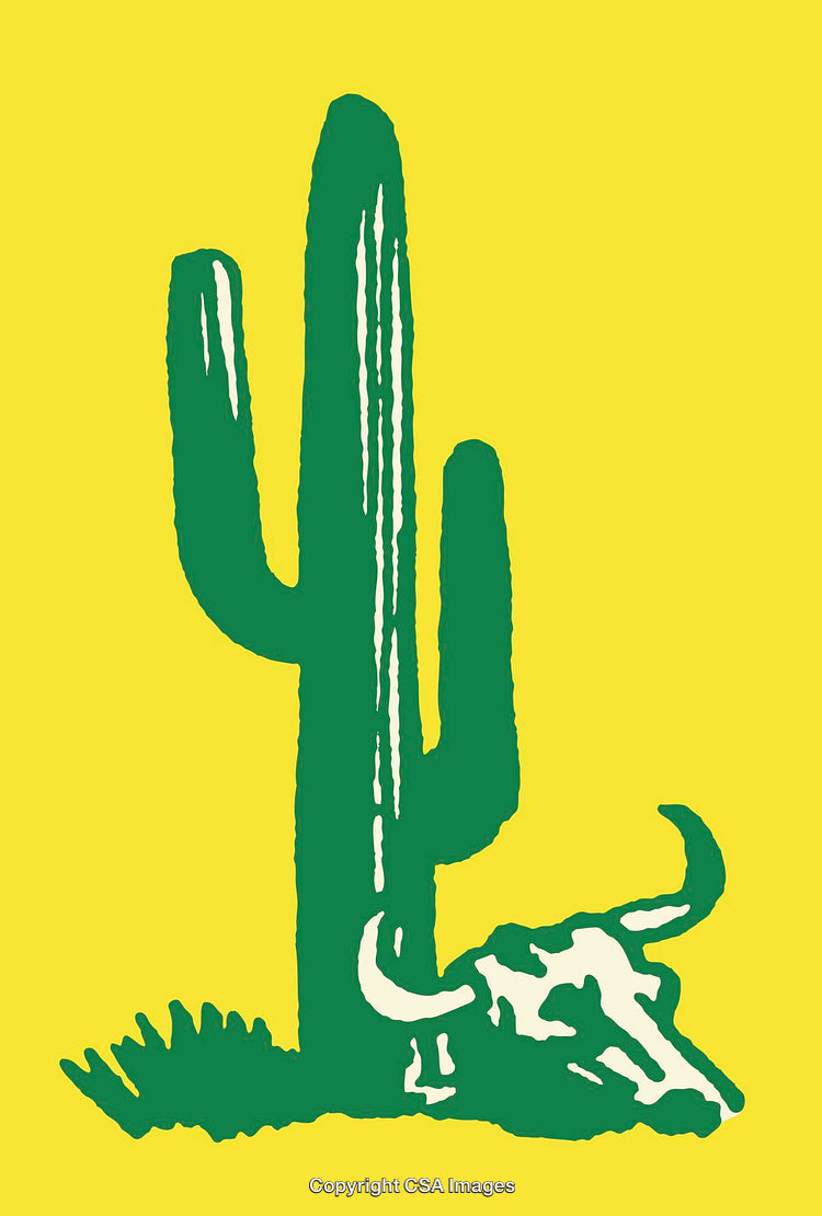 Illustrative Cactus and Buffalo Skull Line Drawing with Vibrant Yellow Background