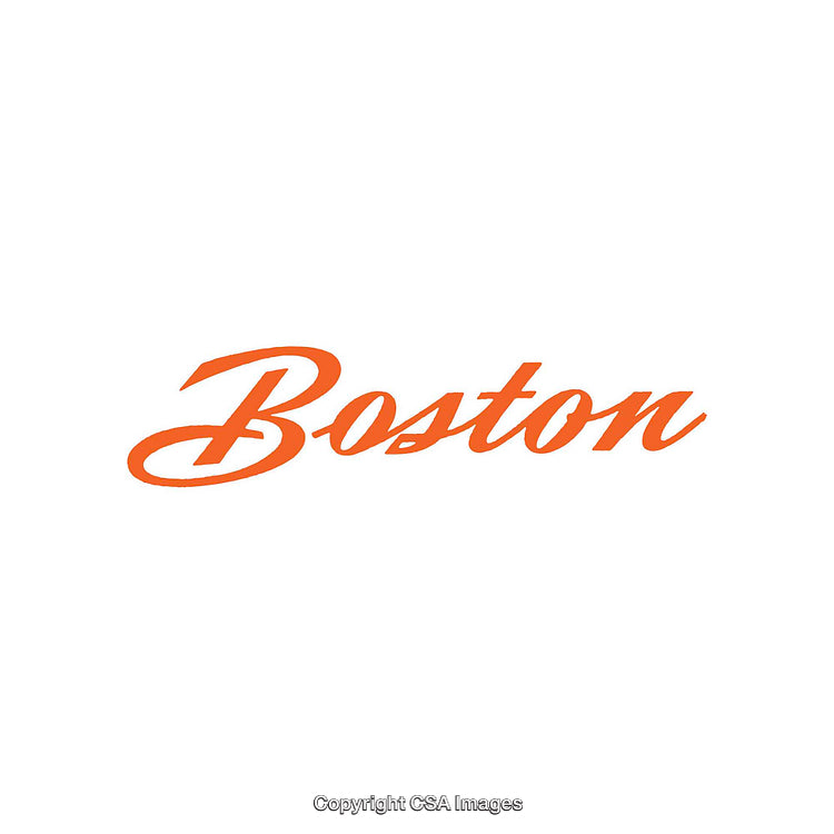 Elegant Orange Boston Text Rendering in Simple Calligraphic Style