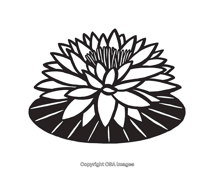 Black and White Line Art Illustration of a Beautiful Lotus Flower