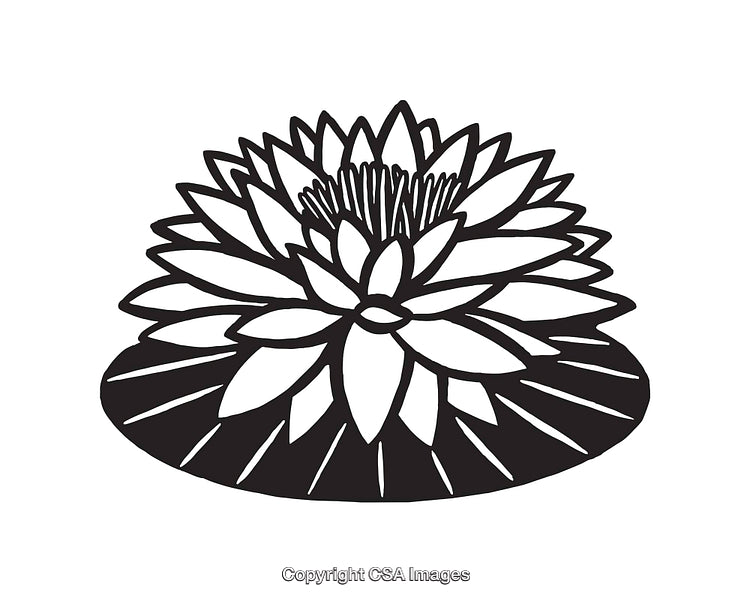 Black and White Line Art Illustration of a Beautiful Lotus Flower