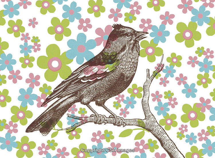 Vintage Bird Illustration with Floral Patio Background Design