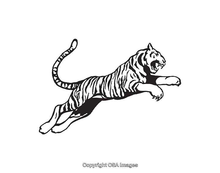 Black and White Line Art of a Jumping Tiger