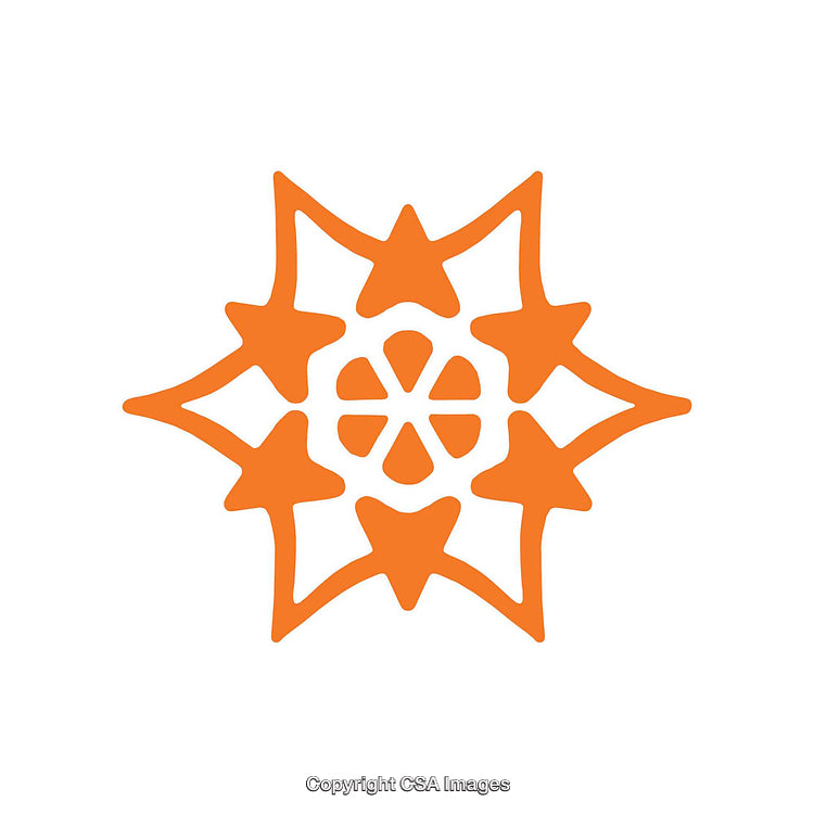 Unique Orange Geometric Dingbat With Star and Floral Motif