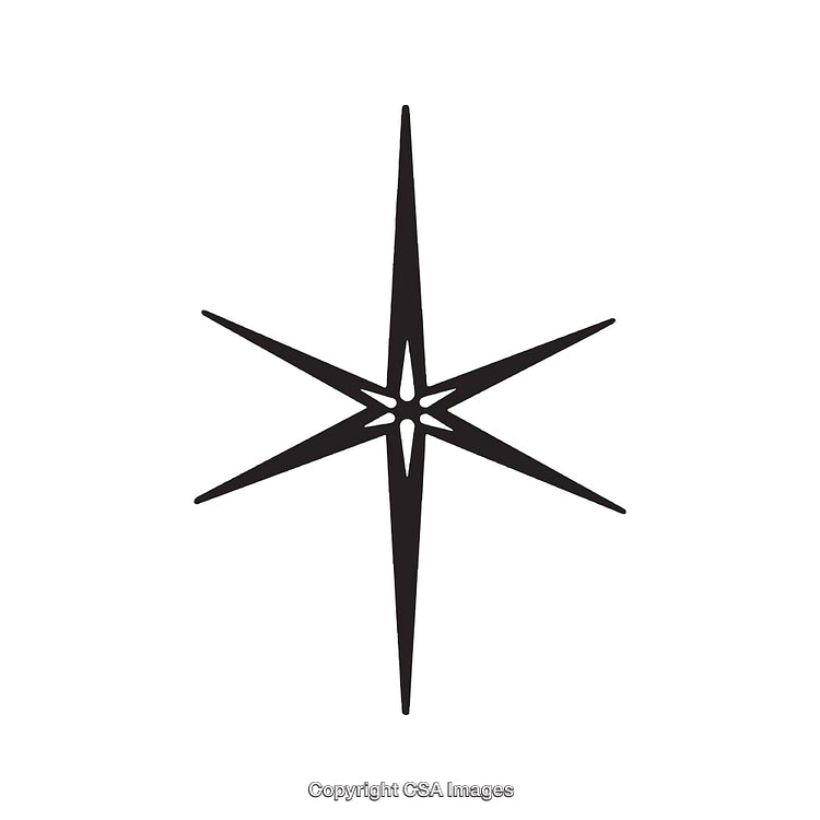 Elegant Black and White Eight-Pointed Star Dingbat Design