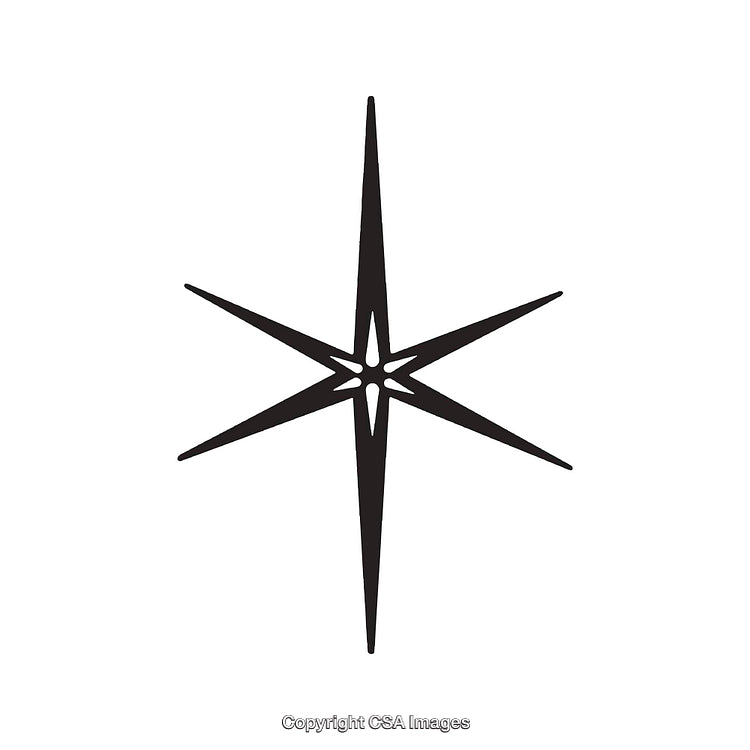 Elegant Black and White Eight-Pointed Star Dingbat Design