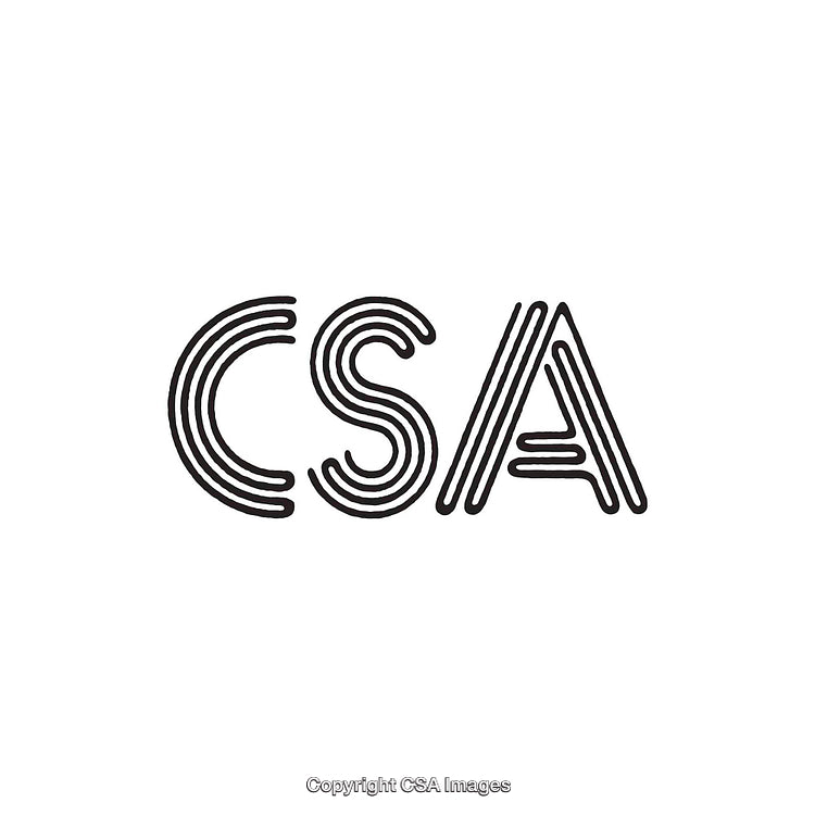Stylized Outline Typography Letters with Unique Decorative Features and Design Concepts