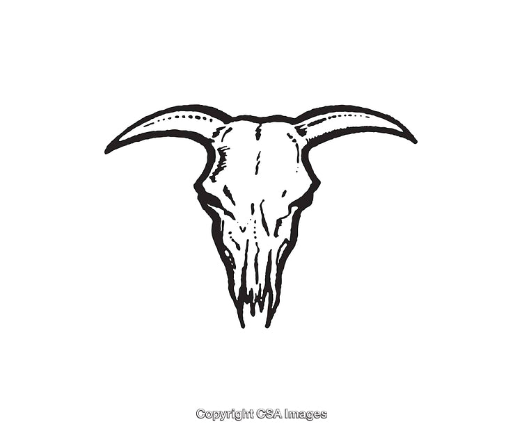 Black and White Line Art Illustration of a Goat Skull with Horns