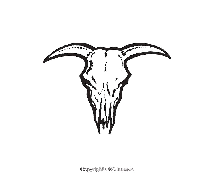 Black and White Line Art Illustration of a Goat Skull with Horns