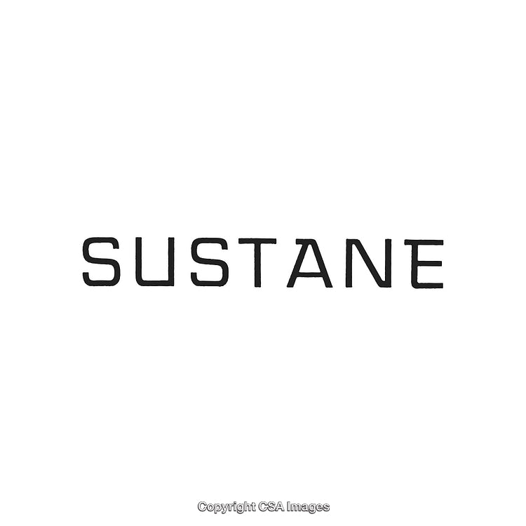 Simple Text Design Featuring the Word Sustain in Bold Font on White