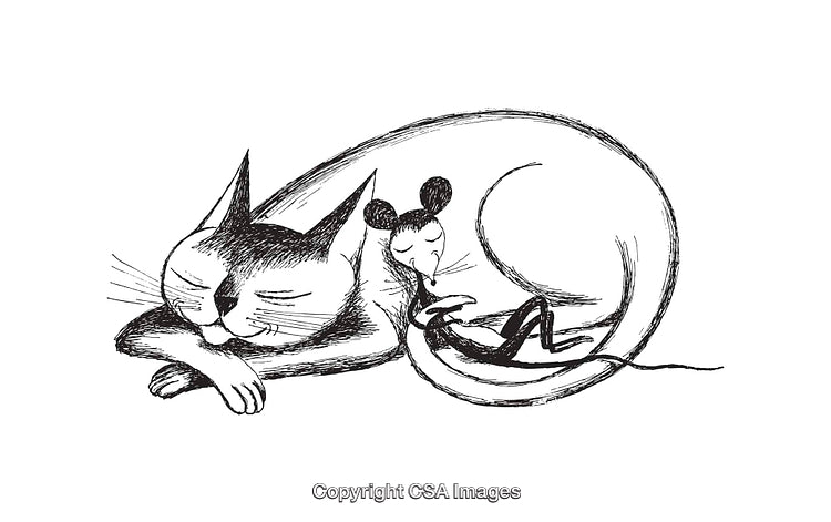 Whimsical Black And White Illustration of Cat and Mouse Welcoming Friendship