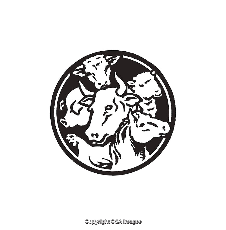 Illustration of Farm Animals in a Black and White Line Art Style