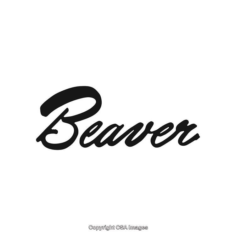 Elegant Black Script Typography of the Word Beaver on a White Background