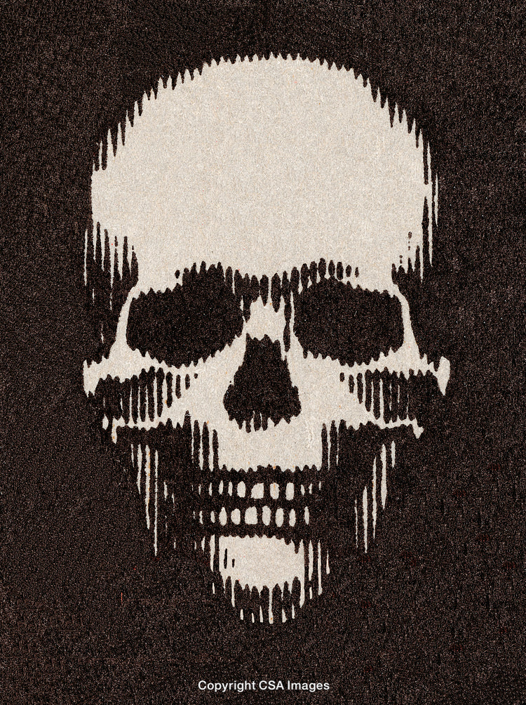 Monochrome Abstract Skull Illustration with Crosshatched Texture on Dark Background