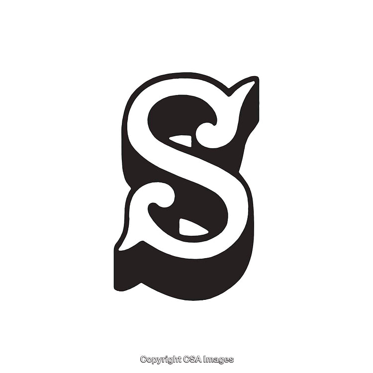 Elegant Ornate Letter S with Decorative Design Elements