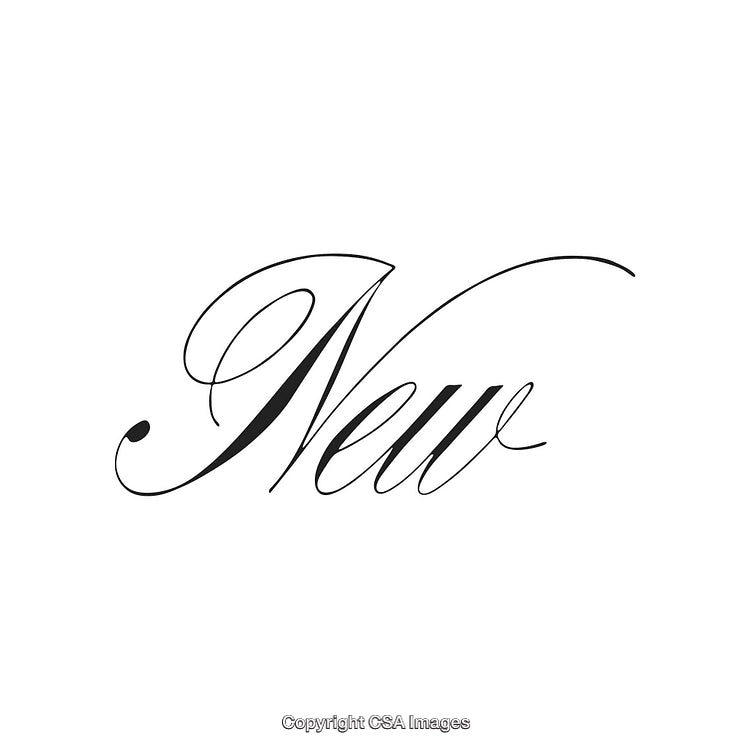 Elegant Calligraphy Design Featuring the Word 'New' on White Background