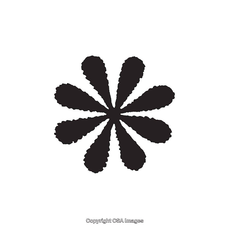 Black Silhouette Abstract Flower Symbol on White Background