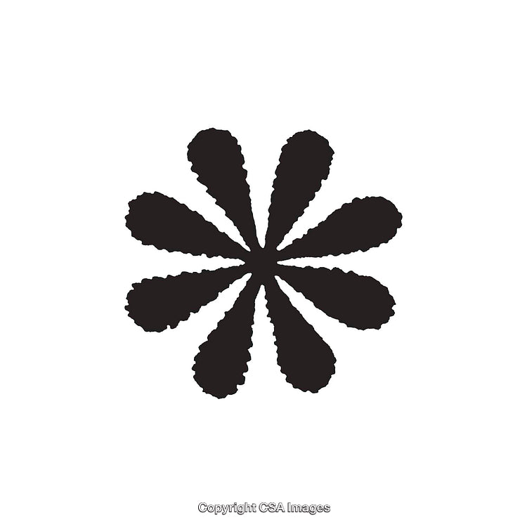 Black Silhouette Abstract Flower Symbol on White Background