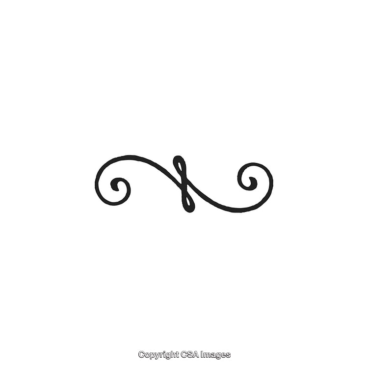 Elegant Black and White Minimalistic Decorative Flourish Ornament