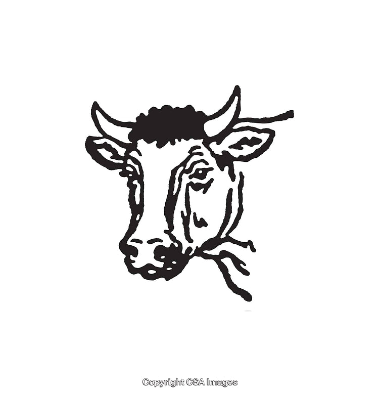 Black and White Line Art Illustration of a Stylized Cow Head