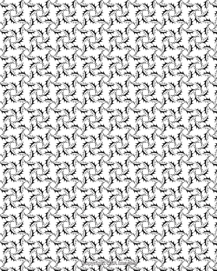 Seamless Black and White Floral Pattern With Intricate Leaves and Swirls