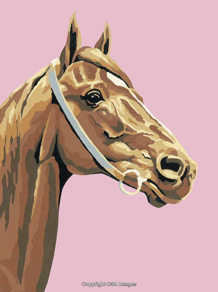 Stylized Illustration of a Horse Head on a Pastel Pink Background