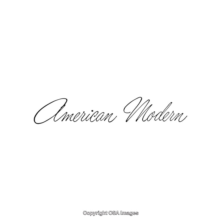 Elegant Calligraphic Text Featuring American Modern Typography Style