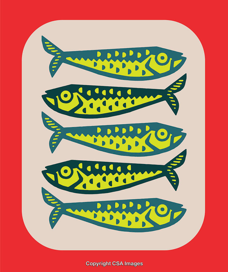 Colorful Line Art Illustration of Fish on a Vibrant Background