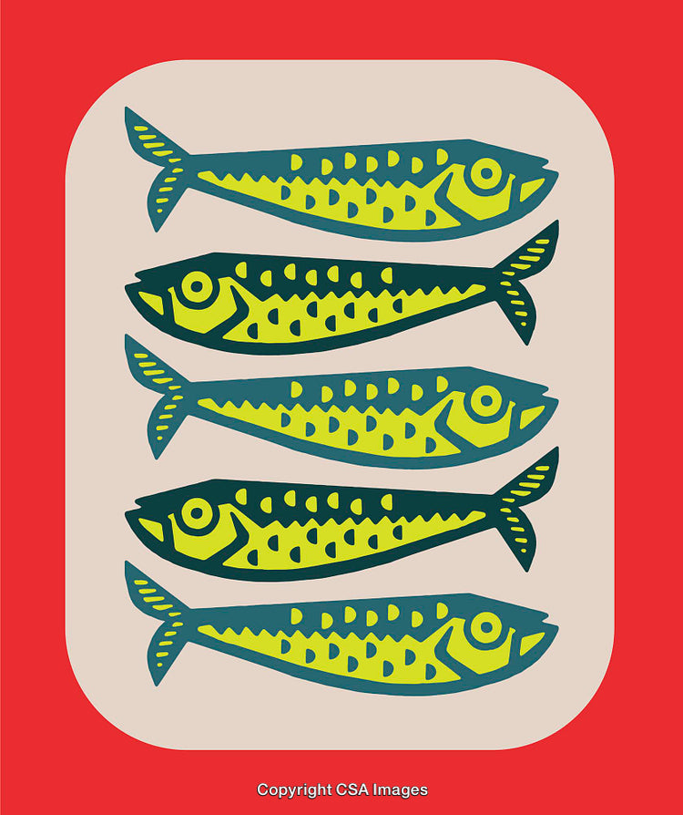Colorful Line Art Illustration of Fish on a Vibrant Background