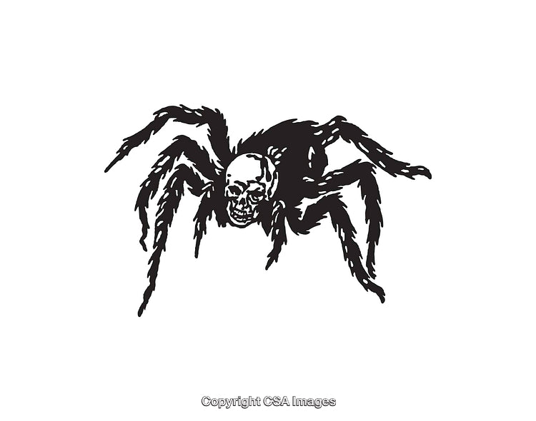 Black and White Illustration of Spider with Skull Design