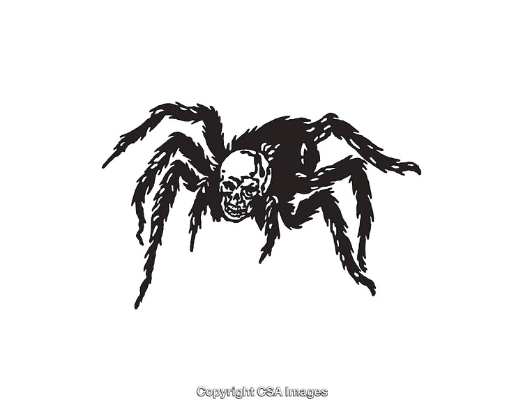 Black and White Illustration of Spider with Skull Design