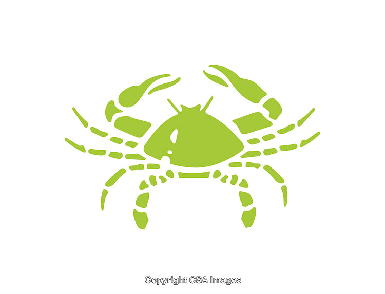 Green Crab Silhouette Icon Isolated on a White Background