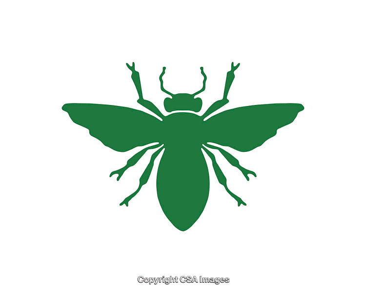 Green Silhouette Icon of a Flying Insect on White Background