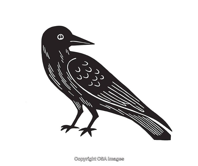 Black and White Line Art Illustration of a Stylized Raven Design