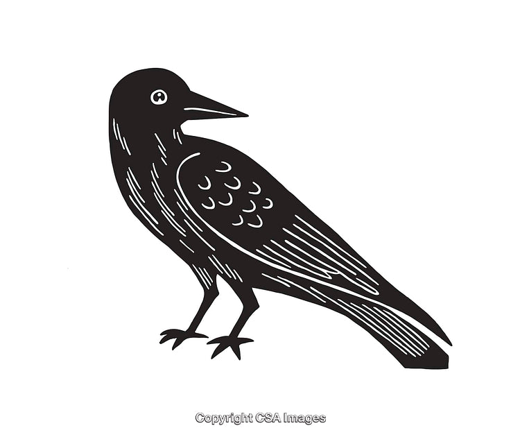 Black and White Line Art Illustration of a Stylized Raven Design