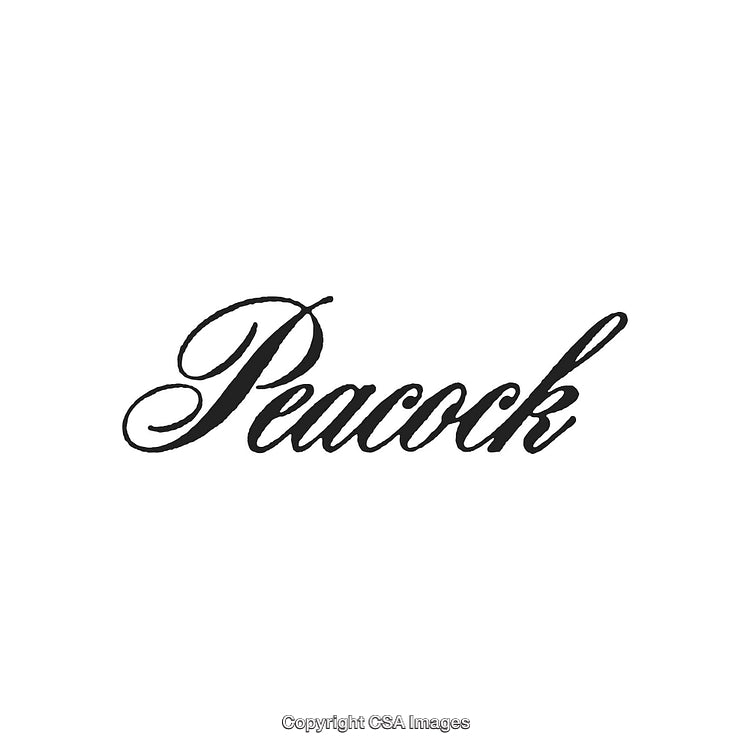 Elegant Calligraphy of the Word Peacock on a White Background