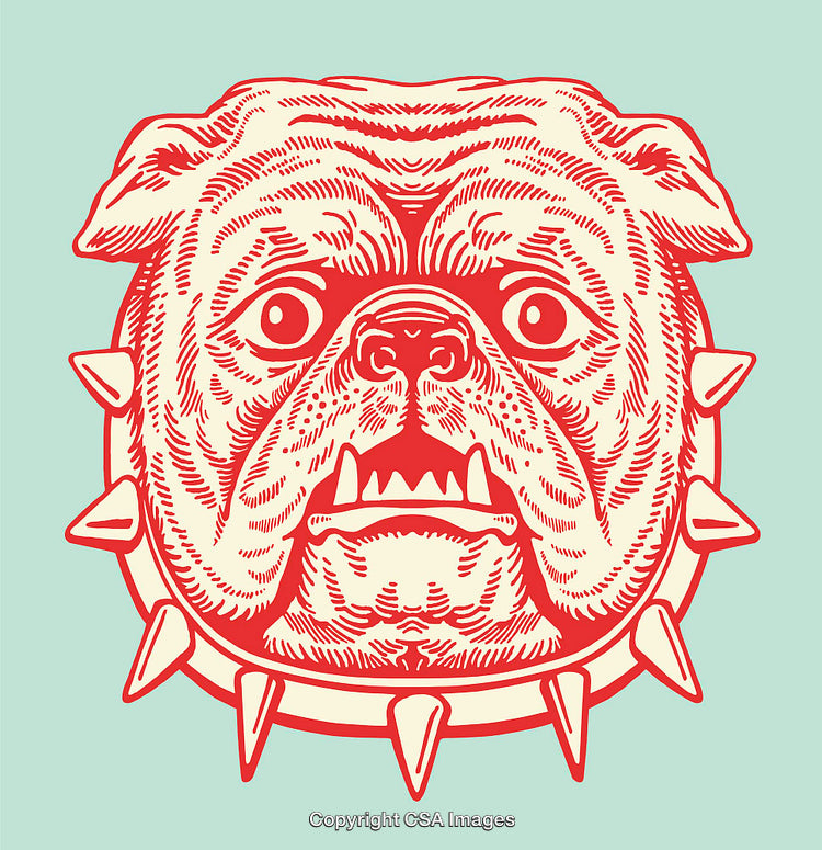 Bold Red Bulldog Design With Spiked Collar on Pastel Background