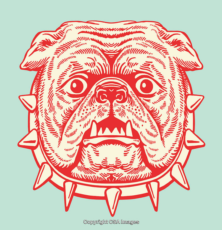 Bold Red Bulldog Design With Spiked Collar on Pastel Background