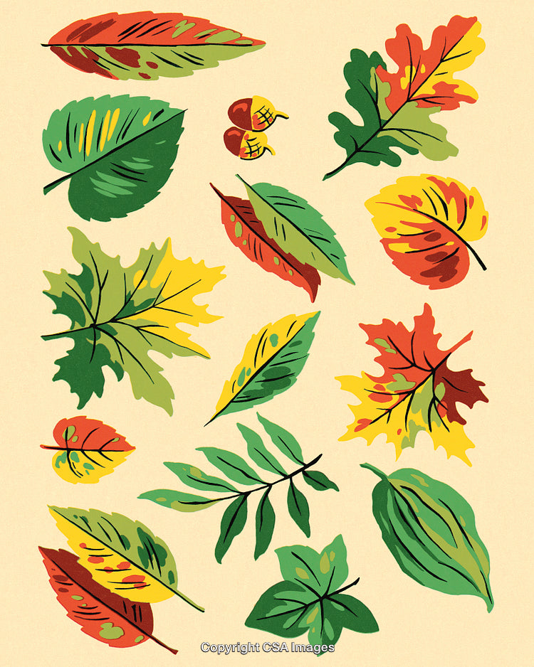 Vibrant Collection of Decorative Autumn Leaves on a Light Background