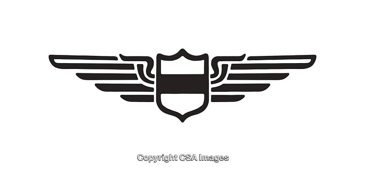 Black and White Winged Shield Icon with Elegant Line Art Design