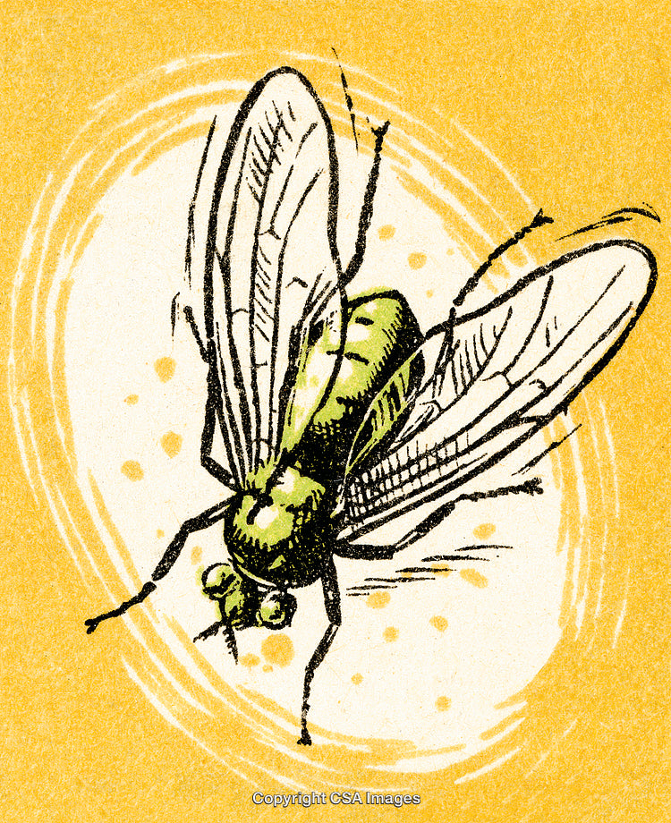 Detailed Illustration Featuring a Green Fly with Outspread Wings and Artistic Background
