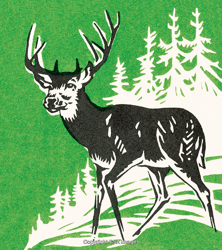 Illustrated Deer with Antlers in a Forest Setting with Vibrant Green Background