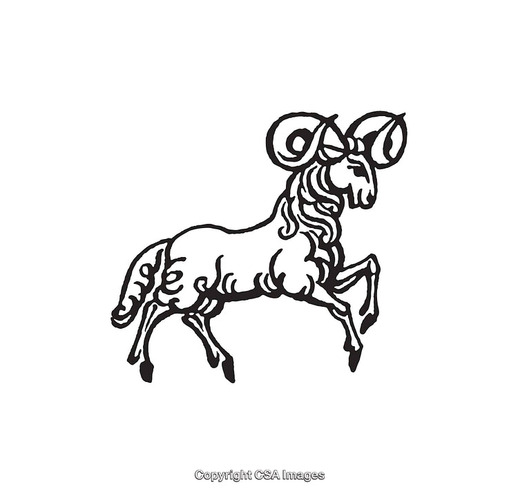 Black and White Illustration of a Rampant Ram with Curled Horns