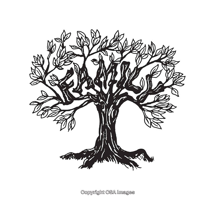 Black and White Line Drawing of a Detailed Tree Illustration