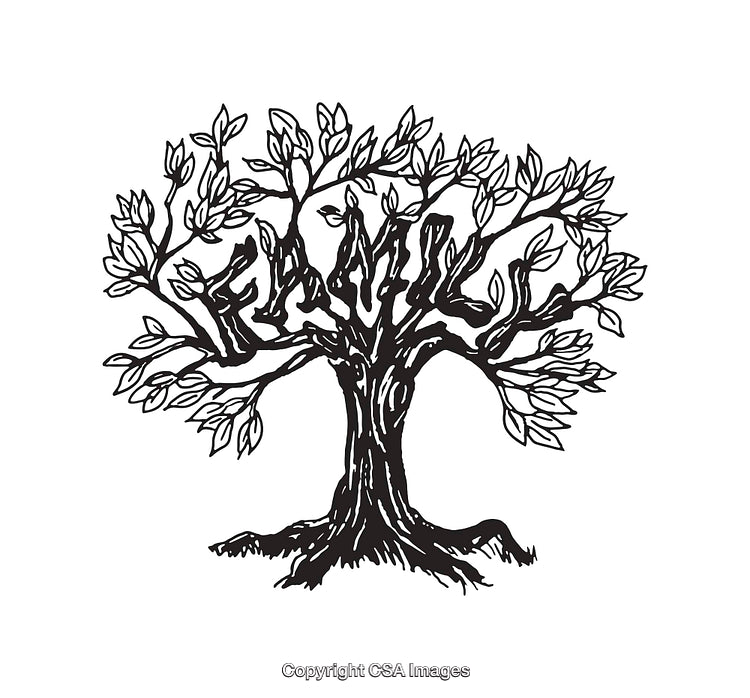Black and White Line Drawing of a Detailed Tree Illustration