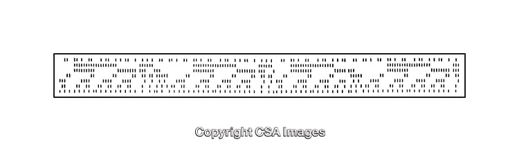 Intricate Black and White Diagram Featuring Geometric Patterns and Designs