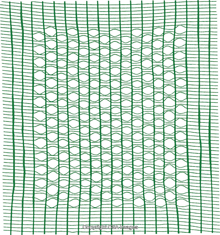 Green Lattice Pattern with Decorative Geometric Appearance on White Background